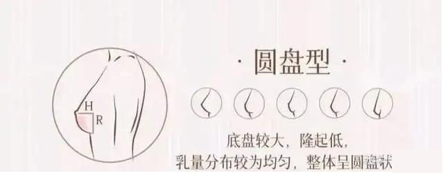 圆盘型胸是长什么样子的？